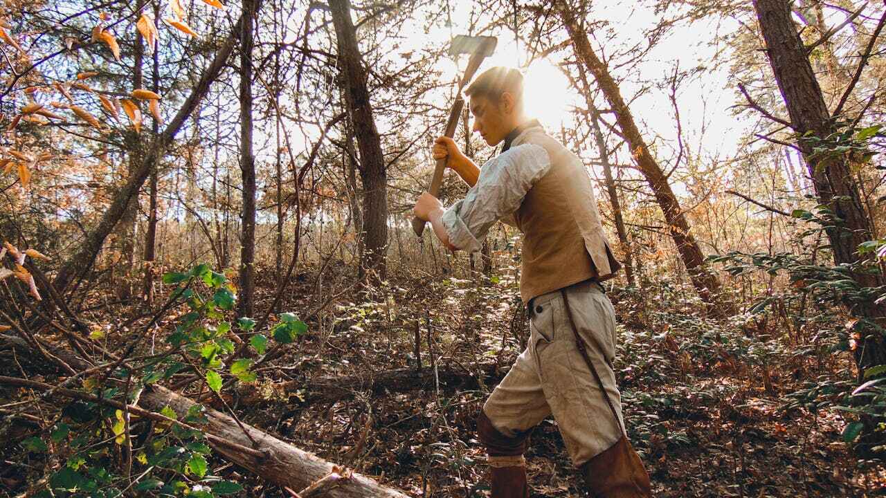 Best Residential Tree Removal  in Grant City, MO